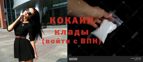 молекула духа Богородск