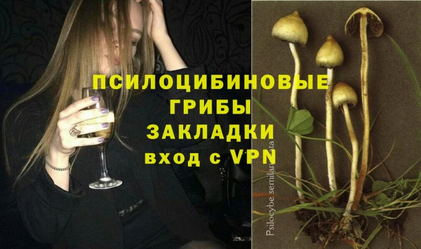прущие грибы Богородицк