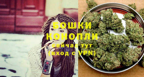 прущие грибы Богородицк