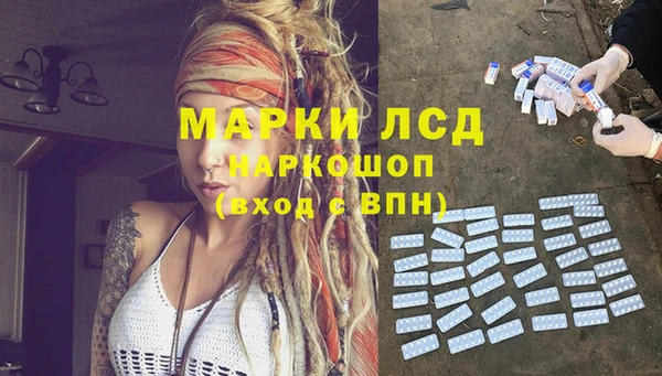 соль ск Богданович